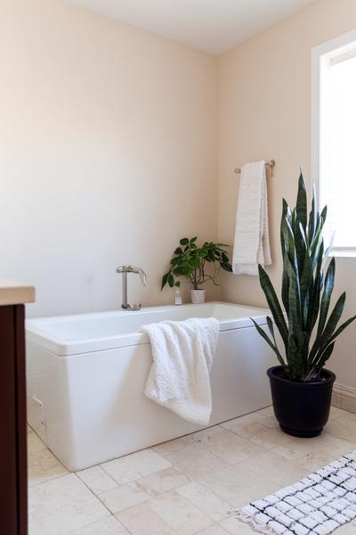 27. Kleine Spa-Zone im Bathroom Remodel on a Budget with Tub mit Handtuchleiter und Pflanzenakzent