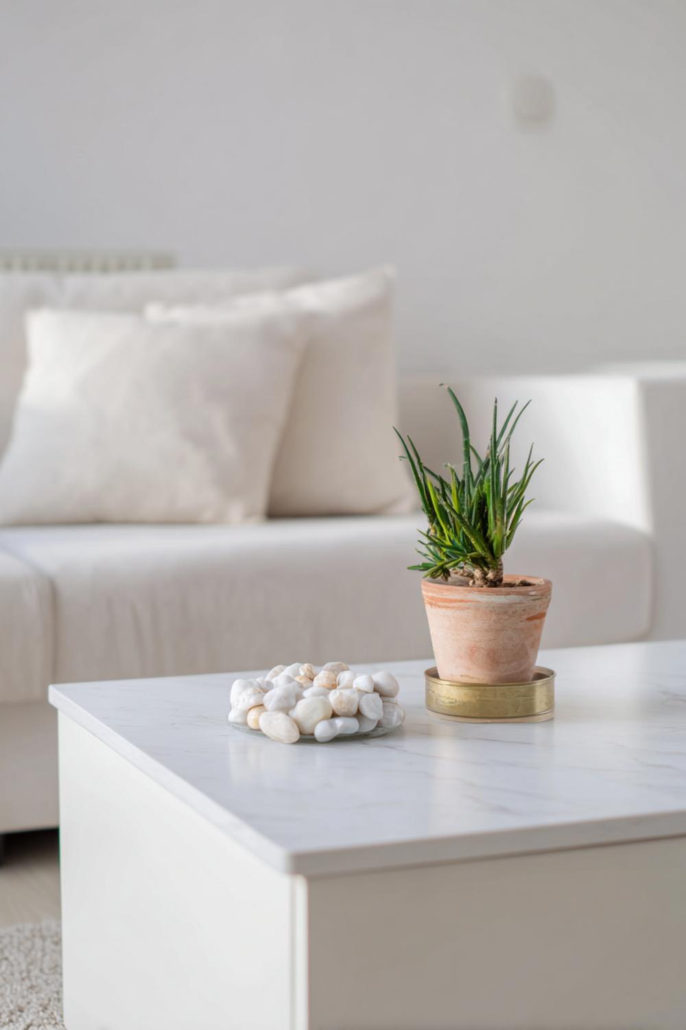 7. Couchtisch dekorieren minimalistisch mit Mini-Pflanze im Terrakotta-Topf und Kieselstein-Akzent