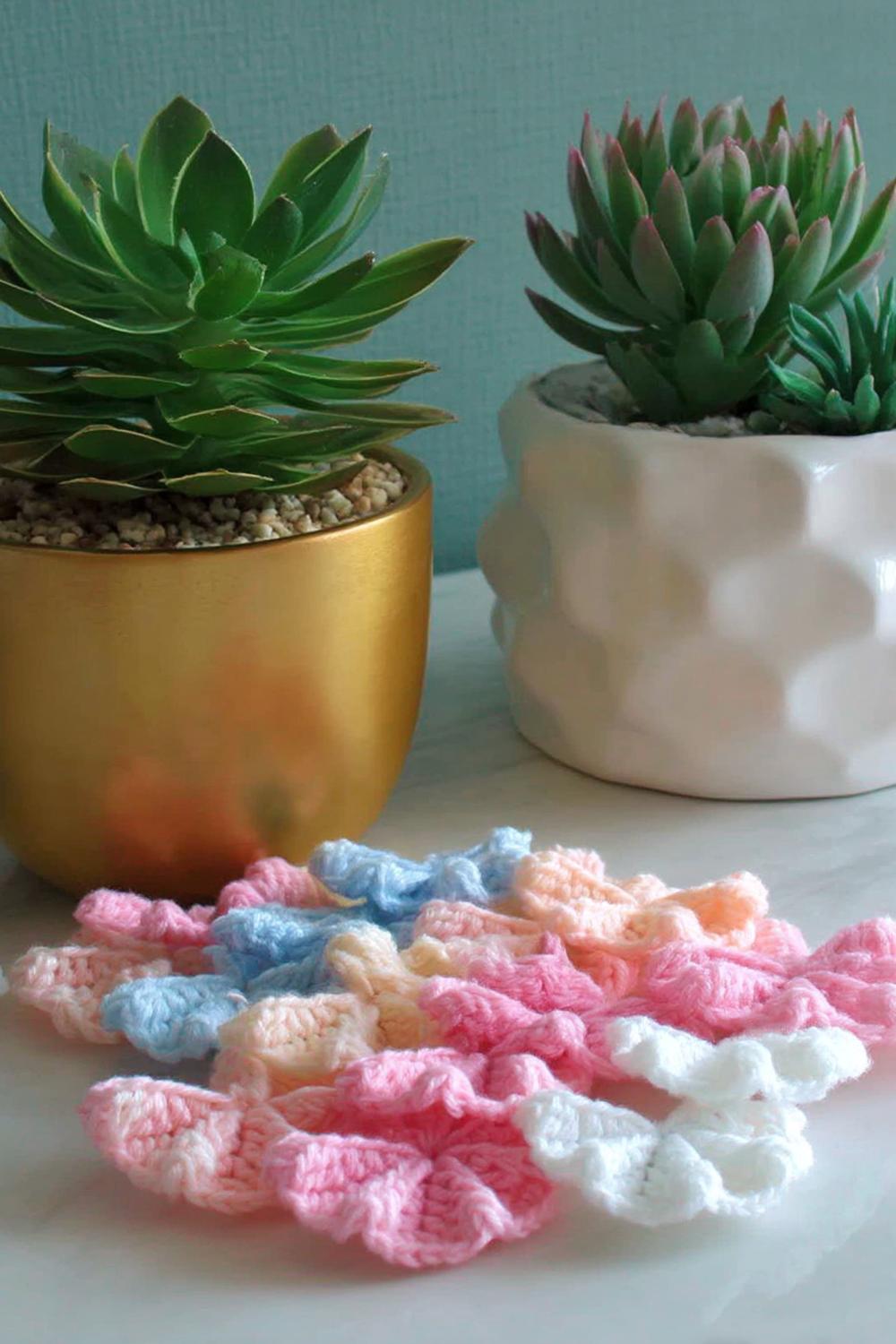 Sukkulenten Häkel Stilleben