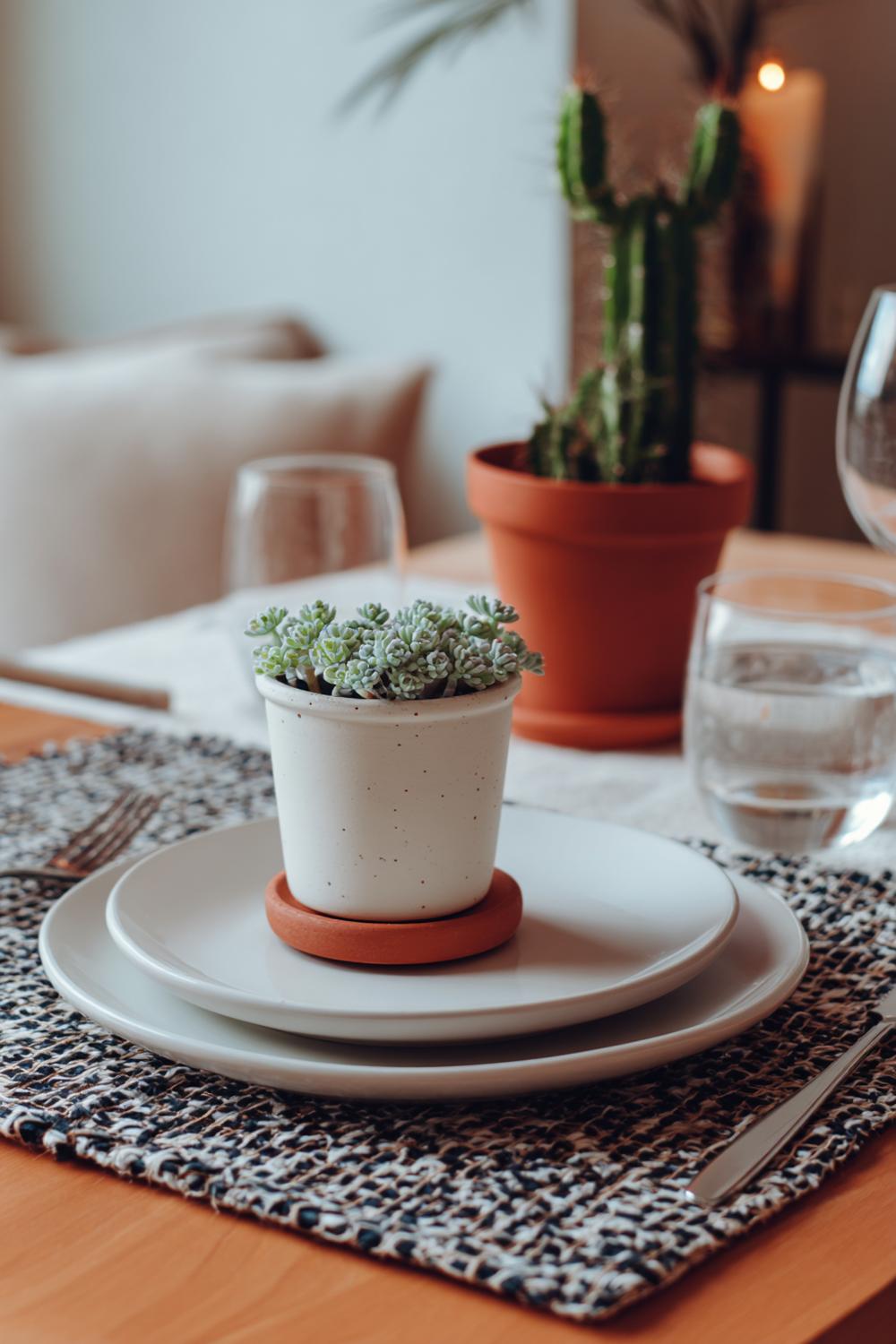 5. Esstisch Deko Alltag einfach mit Mini-Kräutertopf und Terrakotta-Untersetzer