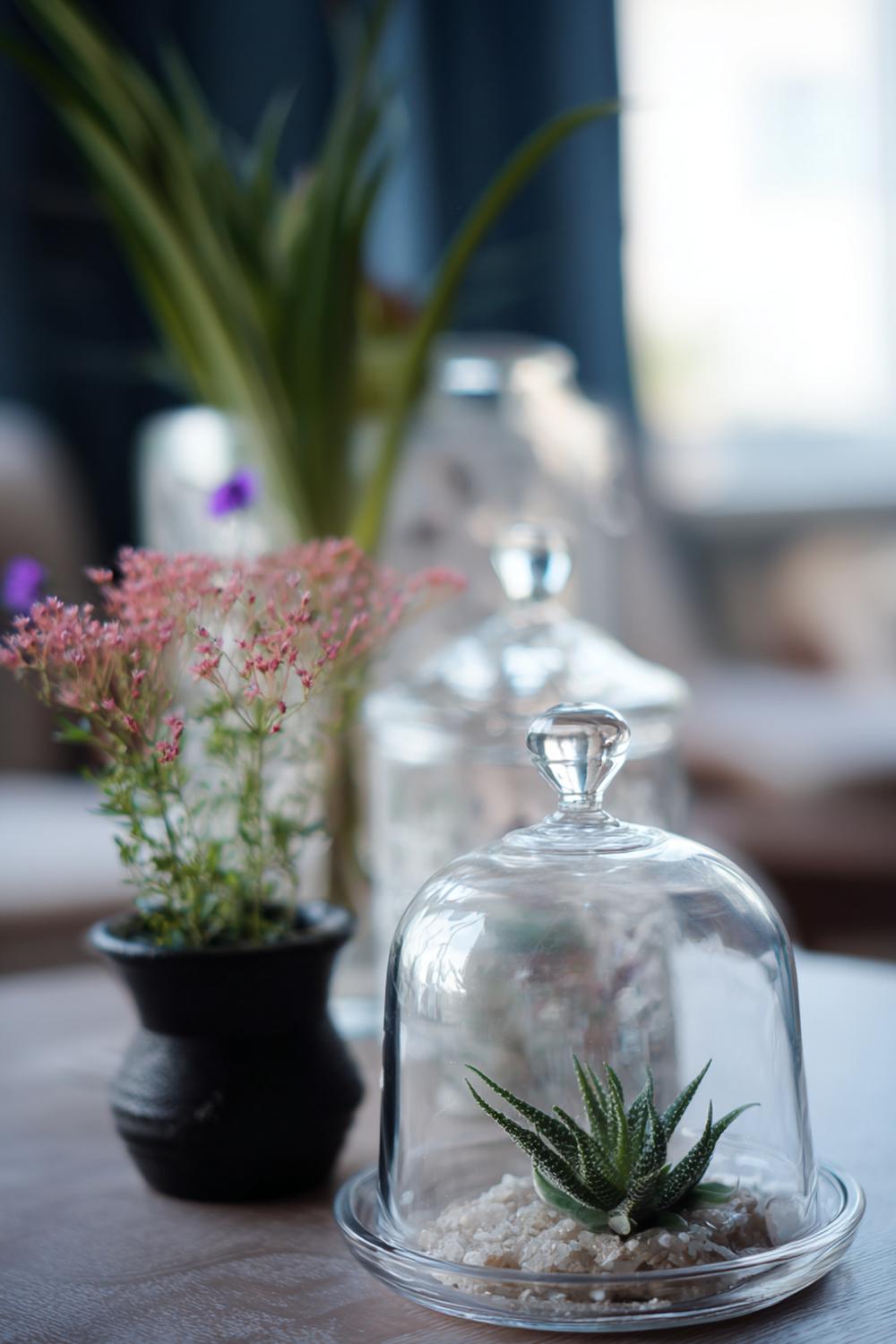 24. Nachttisch-Dekoration mit Glasglocke, Mini-Pflanze und feinem Kiesbett