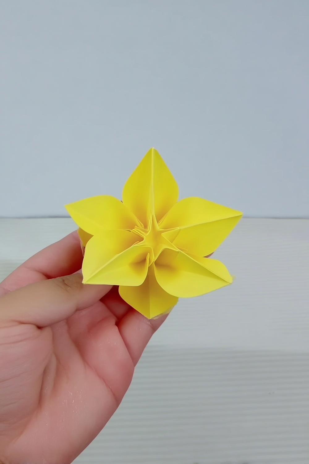 Strahlend gelbe Sternenblüte