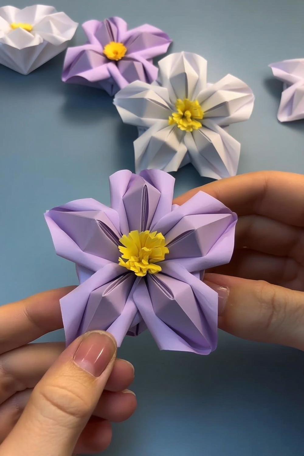 Zarte Blüten mit gelben Staubgefäßen