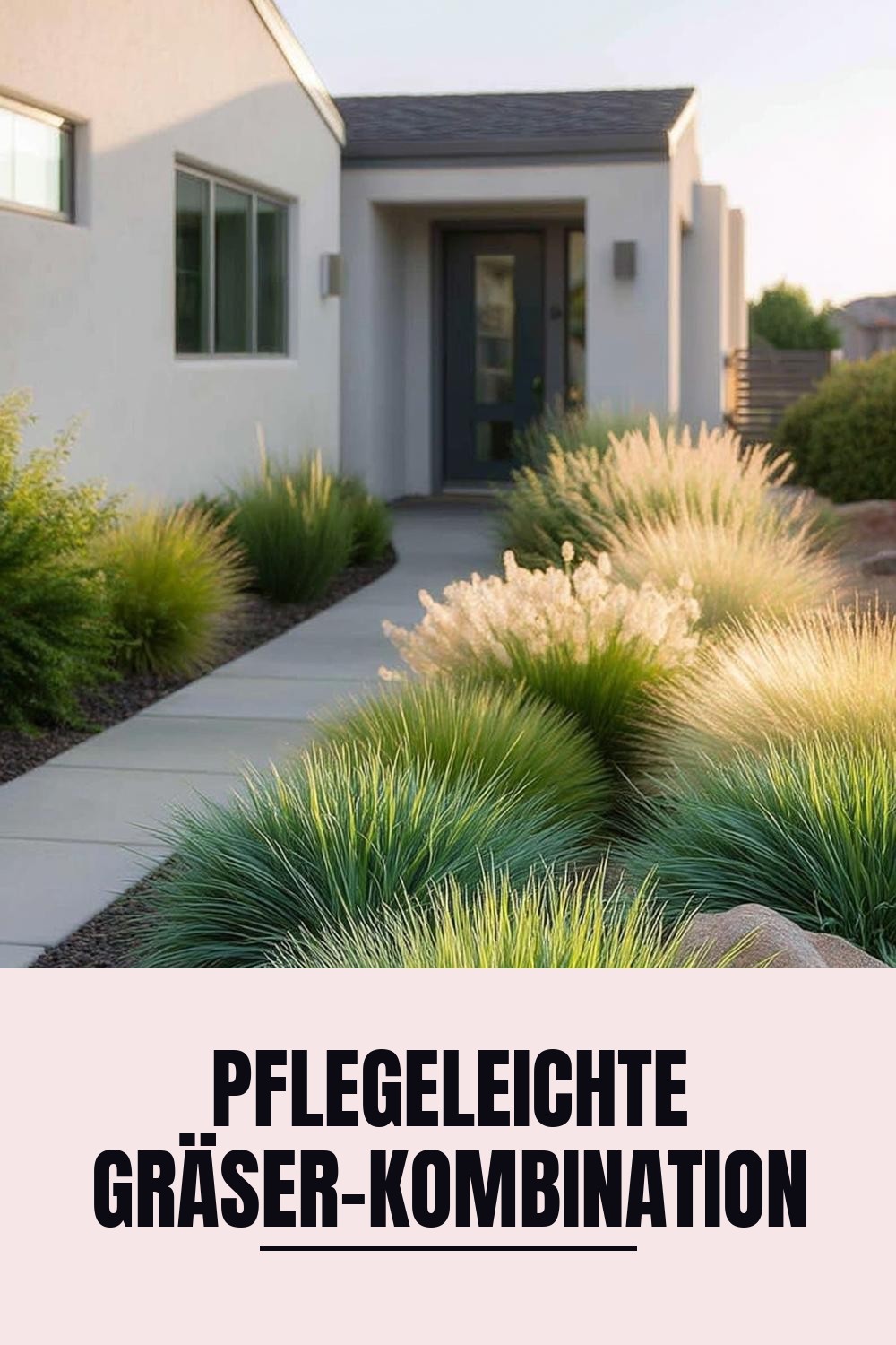 Pflegeleichte Gräser-Kombination