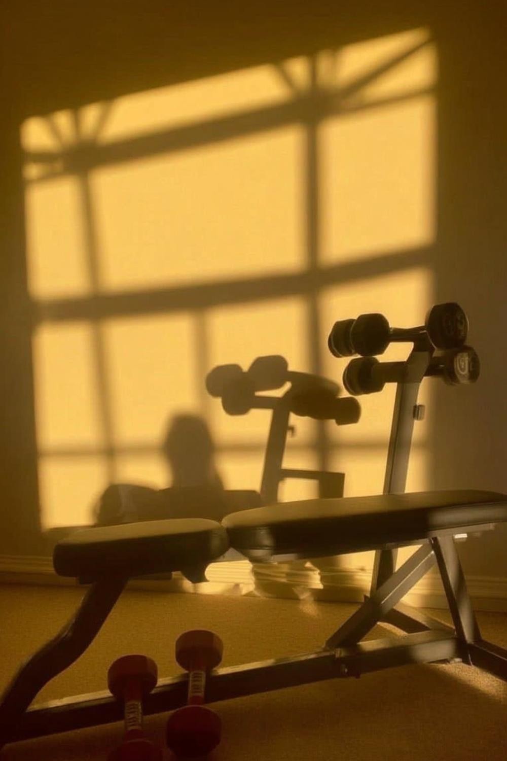 Goldenes Trainings-Licht