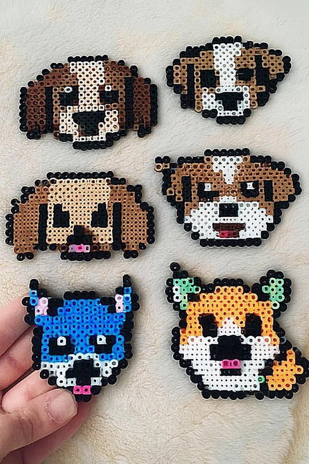 Niedliche Hunde-Gesichter