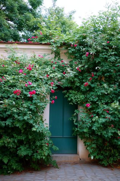 13. Sofa-Wand mit Panorama-Reihe für for photo wall collage ideas living room ideas