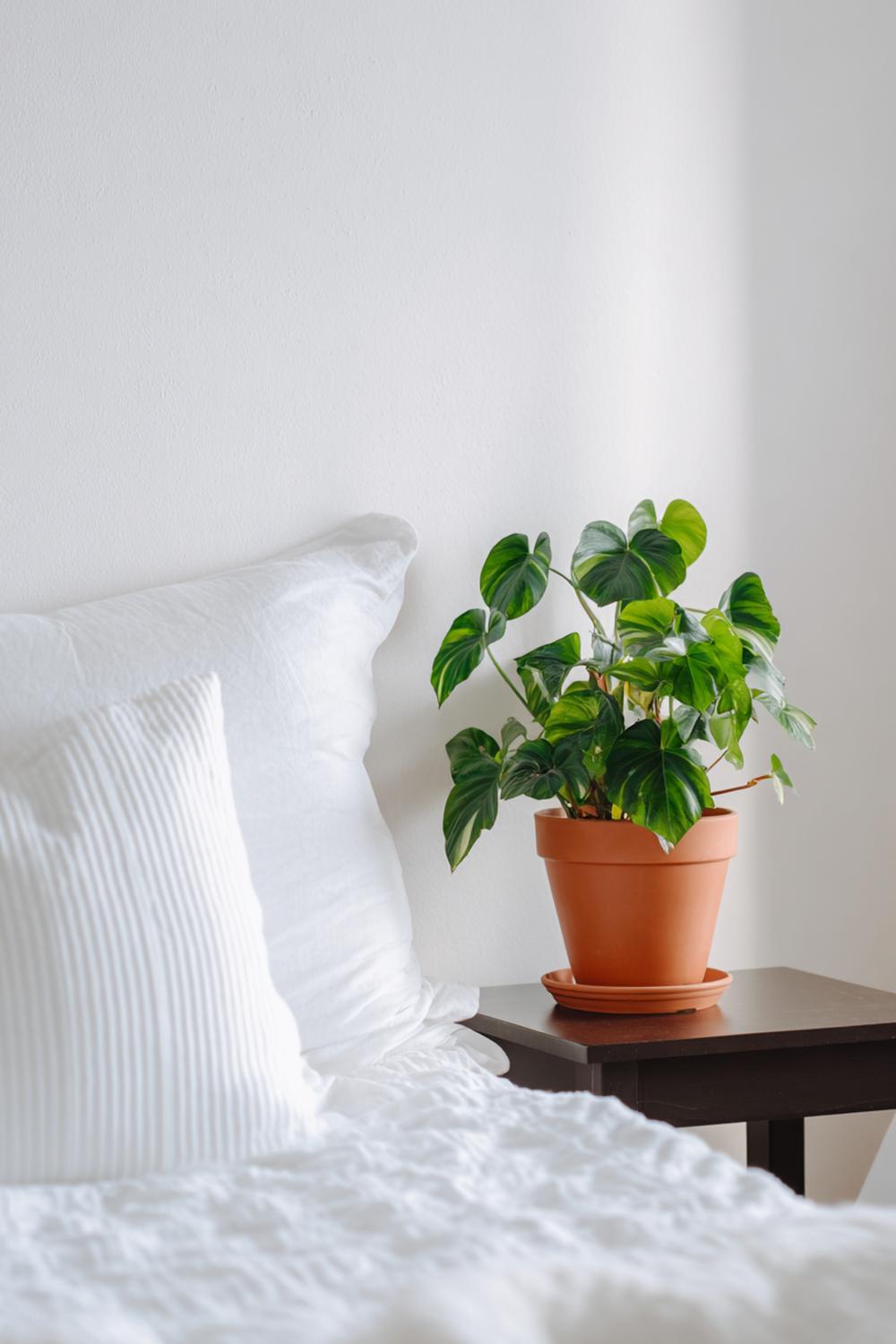 22. Schlafzimmer Deko Ideen Cozy mit Nachttisch-Pflanze in terrakottafarbenem Topf
