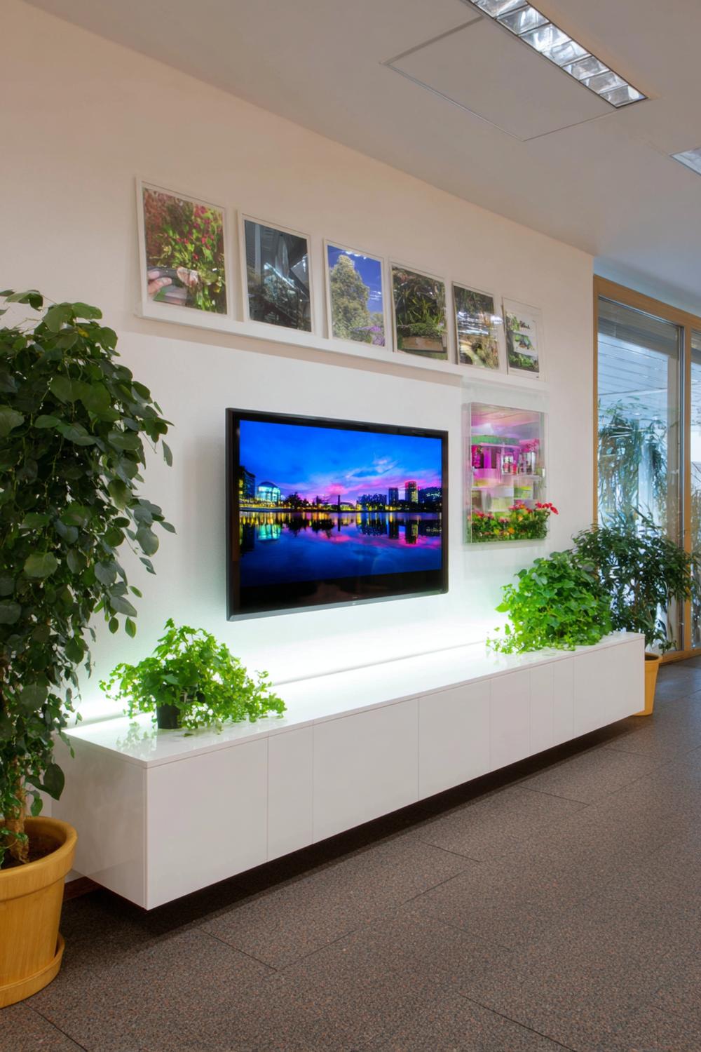 8. TV Wand Galerie-Panel mit Bildern, Leiste und Pflanzenakzenten